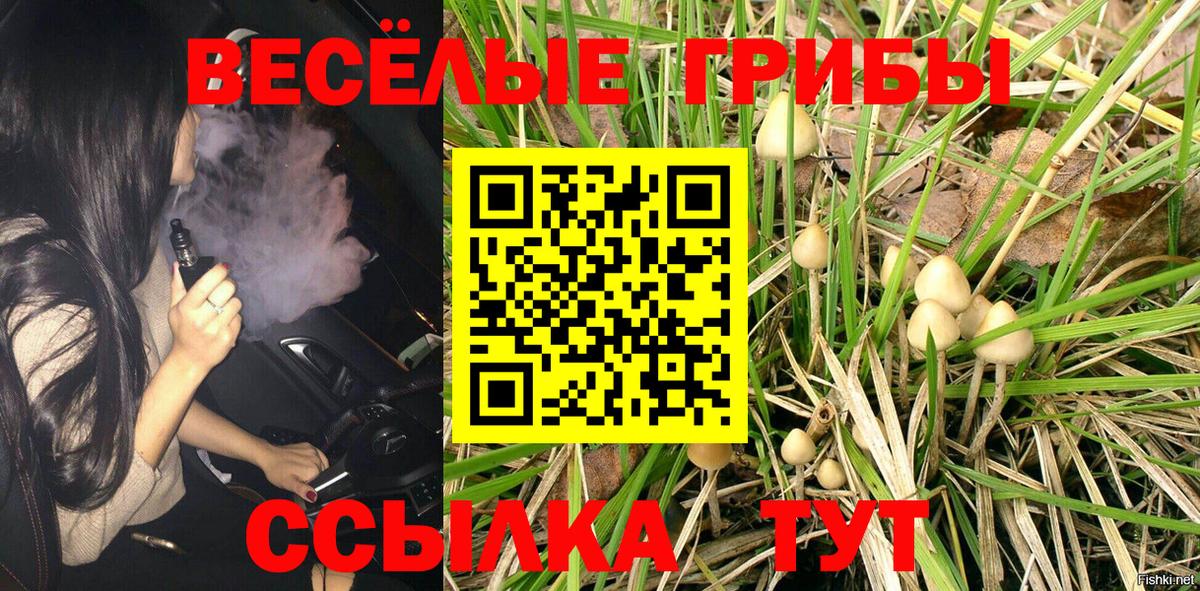 Псилоцибиновые грибы ЛСД  наркотики  Нурлат  Вход с VPN 